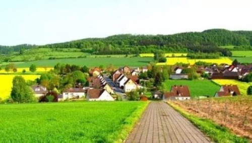 穷山村里有了绿色脱贫“黄金”