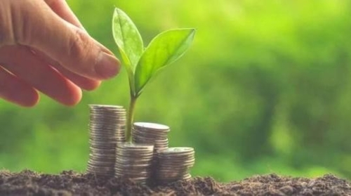 南平市金融局局长江思辉：发展绿色金融是生态文明建设的重要内容