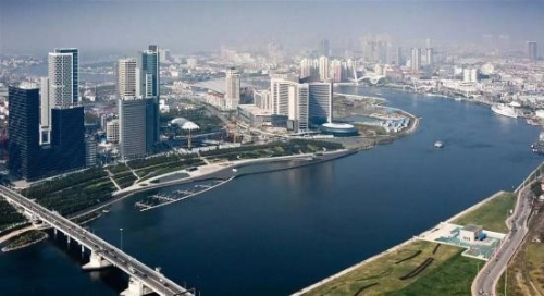 坚定绿色发展方向 绘出高质量发展底色 滨海新区深耕盐滩绿化实践突破“绿色植物生长禁区”