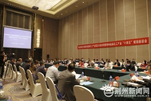 湖北荆州江陵绿色能源化工产业园区专家咨询会召开