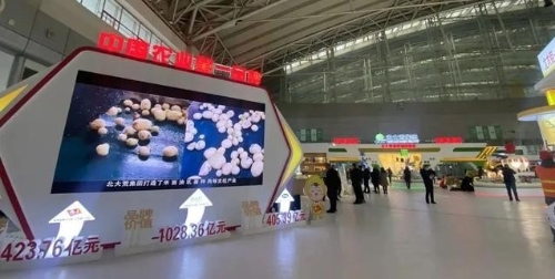 “绿博会”来了！向全世界安利龙江的绿色