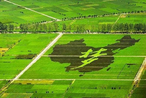 威海市环翠区嵩山街道五家疃村绿色发展纪