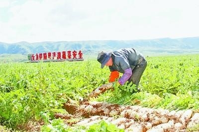 畅通经济血脉 坚持绿色发展