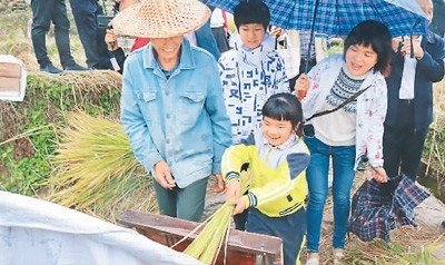 台湾团队助福建乡村“浪漫”振兴