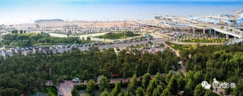 国土绿化先行，绘就“绿色金都”