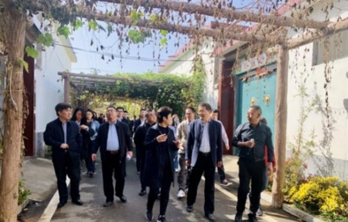 乡村振兴看沂蒙丨绿色生态映照乡村美景 蒙阴后里村旧貌换新颜