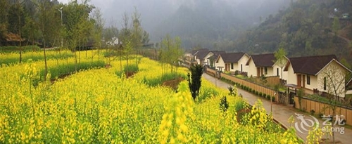 大余县旱田村：奏好田园曲 绿色奔小康