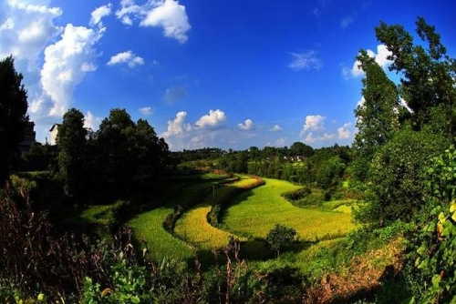 变废为宝 科学治污 忠县走出一条绿色发展的新路