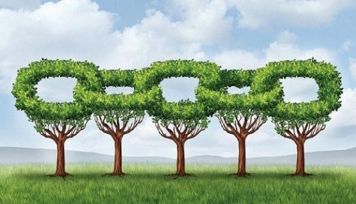 绿色供应链助推国内国际双循环