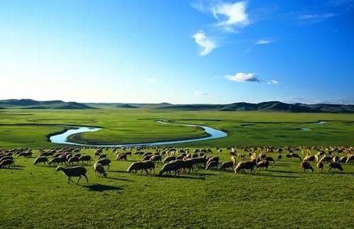 加快转型升级，推动现代畜牧业绿色发展