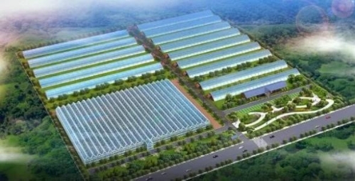 正大农业文化产业园荣获全国绿色食品融合发展园称号