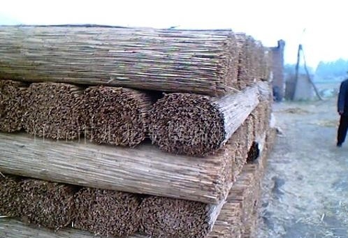 苇帘编织让3000农户增收（走向我们的小康生活）