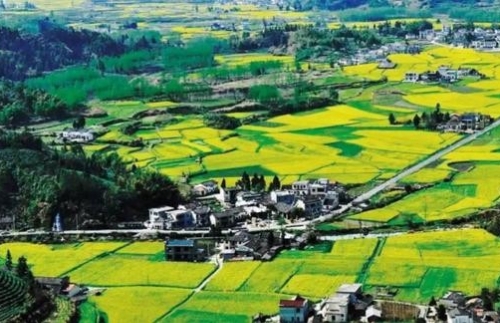 人民网评：用奋斗告慰英灵，坚决打赢脱贫攻坚战