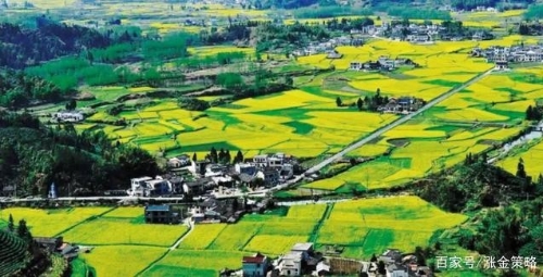 贵州大力推进林特产品产销体系建设