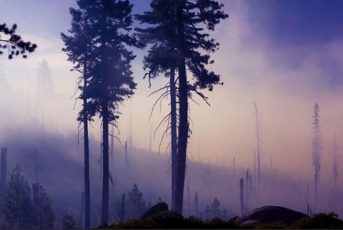 西北能监局：统筹储能项目发展规划、完善电储能交易价格形成机制