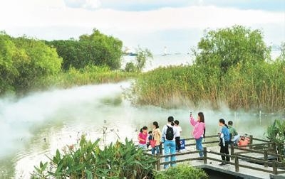 “灰色”变“绿色” 城市更宜居