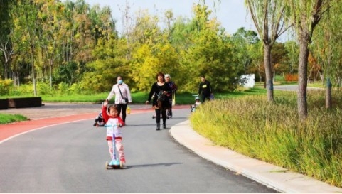  让绿色融入城市生活，看东方园林如何提升城市品质