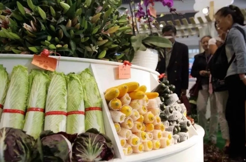 重奖！让“绿色”云品和云企在云岭大地蓬勃生长