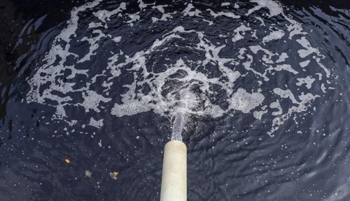 “十四五”水环境治理设定新目标：基本消除城市黑臭水体