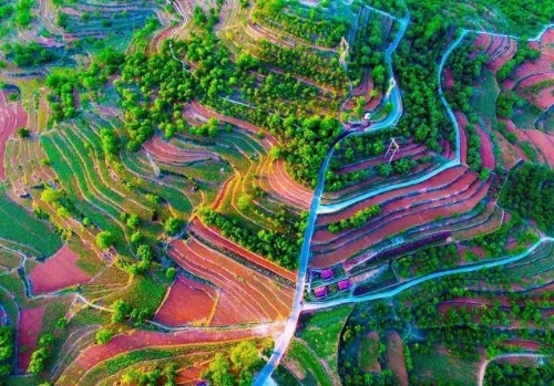 唐山市迁西花乡果巷田园综合体项目