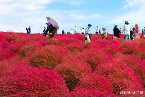 日本智慧城市或将寻求使用Blokchain投票解决方案