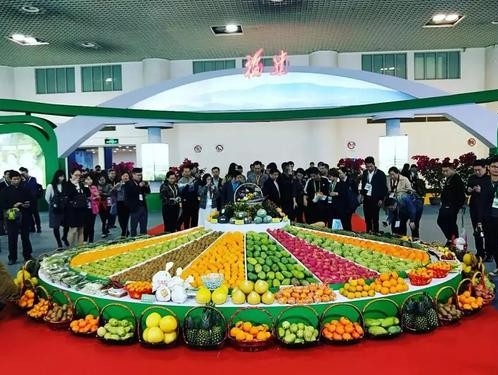 唱响绿色主旋律 宁夏展团载誉而归