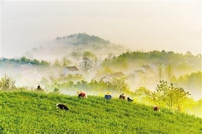 “绿色城市群”扮靓太湖湾科创带