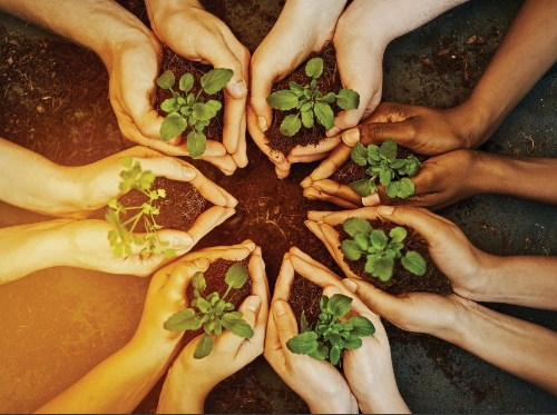 刘宇：关于《建议》中生态环境保护的解读