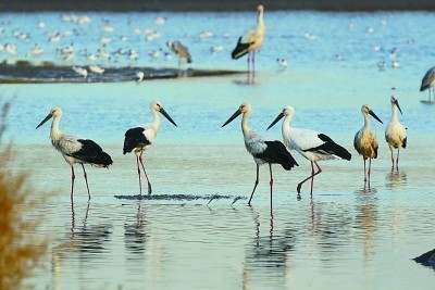 守住自然生态安全边界，底线在哪儿