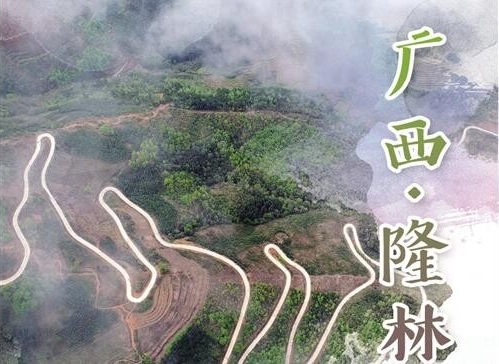 广西隆林：金融扶出新天地