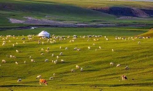 蒙草生态与央企签订战略合作协议 强强联手共谋矿山绿色发展