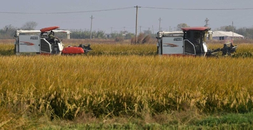 江西南昌：智慧农机展新貌