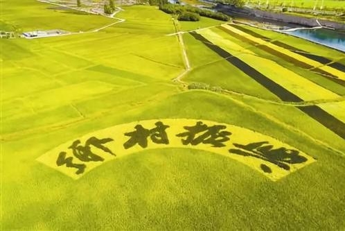 “十四五”我国农业农村发展十大新方向