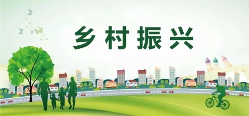 乡村振兴之中国样本