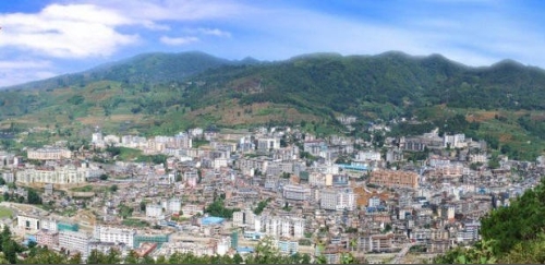 云南金平：做大绿色产业 接力乡村振兴