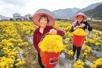 绿色“买买买” 生活更健康