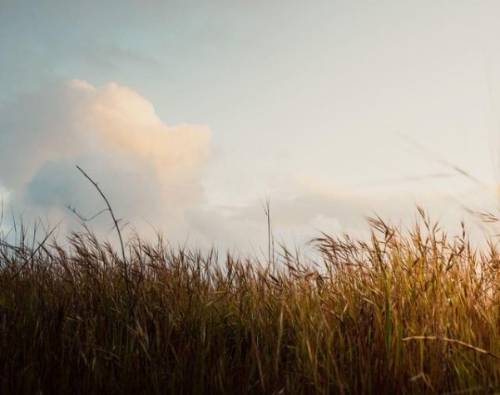 北半球风能资源评估 再分析数据如何选择？