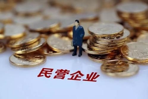 胡敏：推动民营企业支持政策尽快落地见效