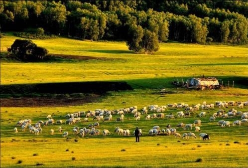 绿色的启示——西部地区生态问题典型个案再调查