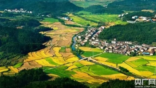 心为山更绿 情为民更富——让绿色金融的触角延伸到：大觉山腹地