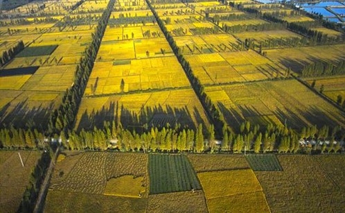 科技赋能农业，绿色高质高效