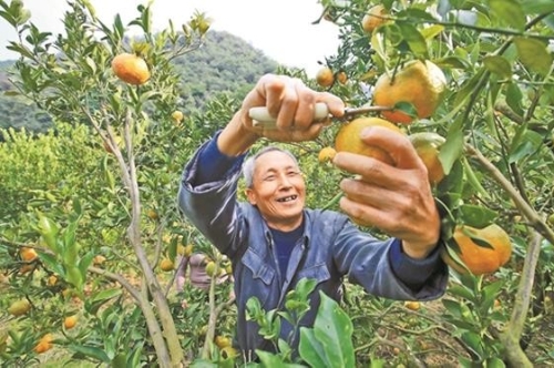 生态退化地区的绿色兴农之路