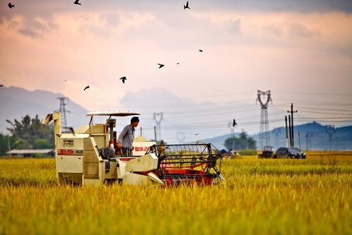 持续夯实发展基础 着力推进农业现代化