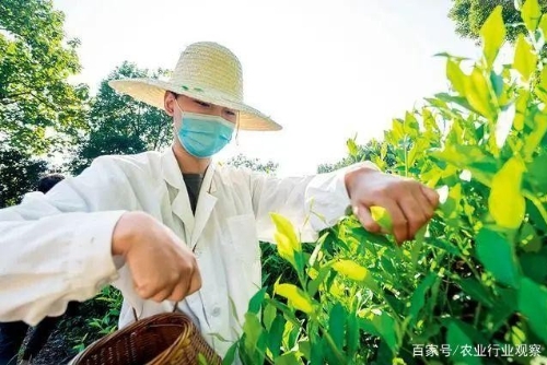 我国将培养农业基础领域领军人才；富硒企业规模越大，利润越好