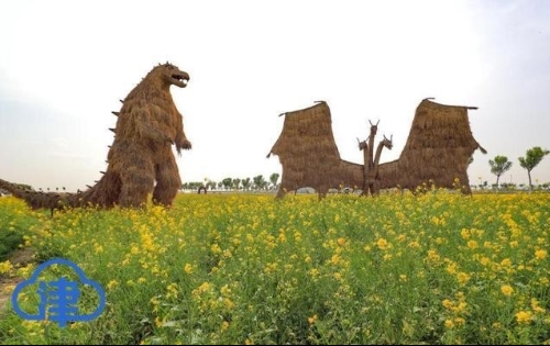 「十三五成就」天津西青区王稳庄镇调整产业结构 走绿色发展之路