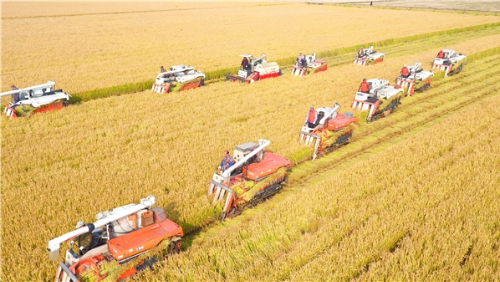 淮安洪泽：致力打造农业发展绿色高地