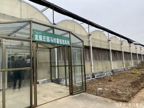 龙振庄园：智慧农业的“互联网+”魅力无限