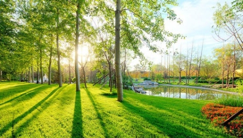 黔南州：走好绿色发展之路为绿博喝彩