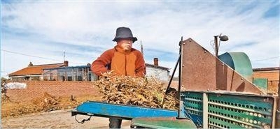 绿色种植 稻米飘香（决胜全面小康·小家看小康（24））