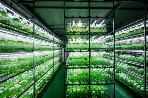 乐山市大力支持新型农业经营主体和服务主体发展